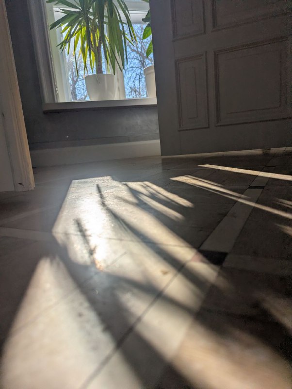 Периодически хожу на нетворкинги и бизнес‑конференции, не...